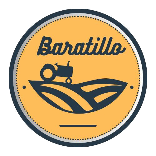 Baratillo Vicmeco